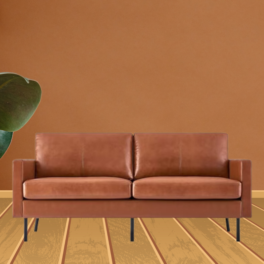 Top-Grain Leather Sofa, 2-Seat Upholstered Loveseat Sofa