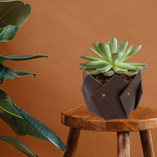 Sturdy Plant Pot Cover Handmade from Full Grain Leather