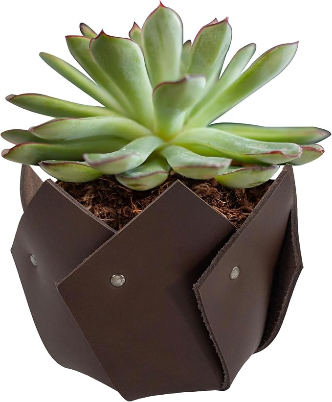 Sturdy Plant Pot Cover Handmade from Full Grain Leather