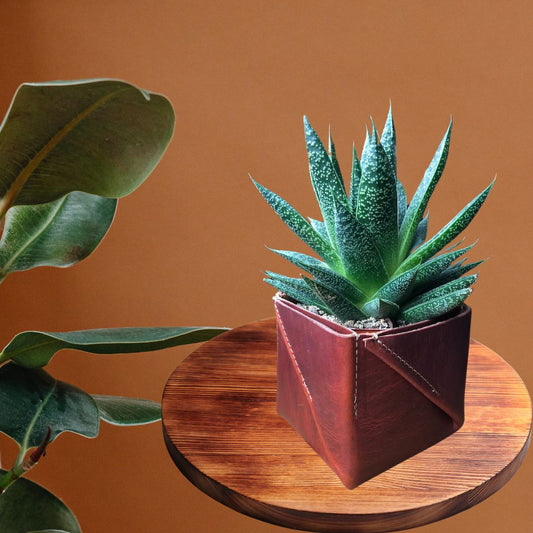 Leather Planter Pot | Leather Remote Control Holder | Leather Box